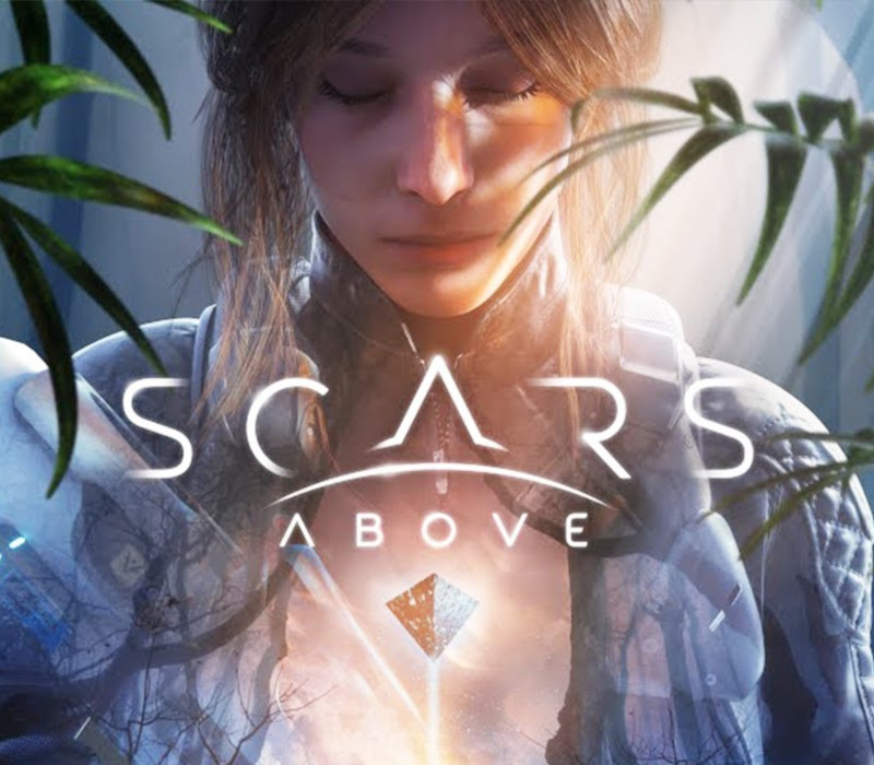 _ScarsAbove800 _ScarsAbove800