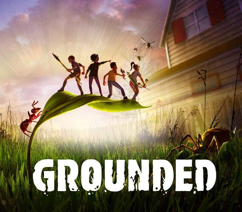 grounded800