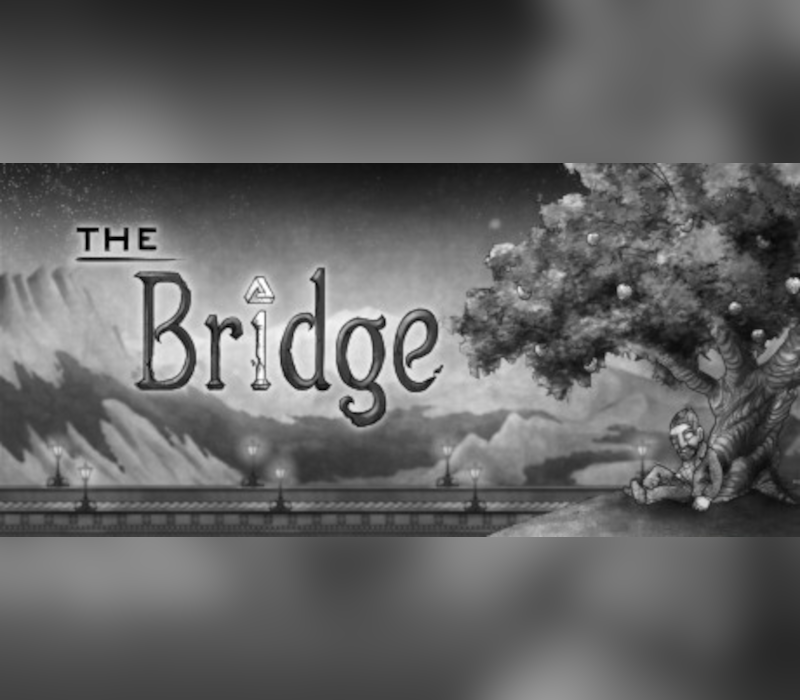 _thebridgestm-ss-800