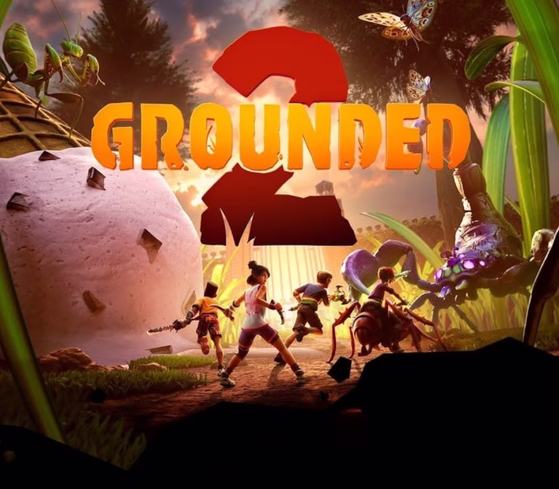 000_202506170854_grounded-2-800