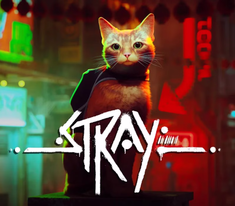 _Stray800 _Stray800